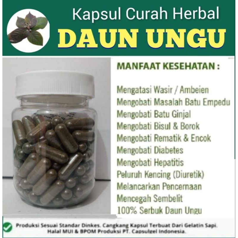 

* Daun Ungu 100 Kapsul Curah Herbal Kemasan Botol Terlaris