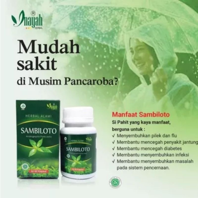 

* Kapsul Herbal Sambiloto 60 Kapsul Herbal Alami Sambiloto Daya Tahan Tubuh Radang Paru Demam Terlaris