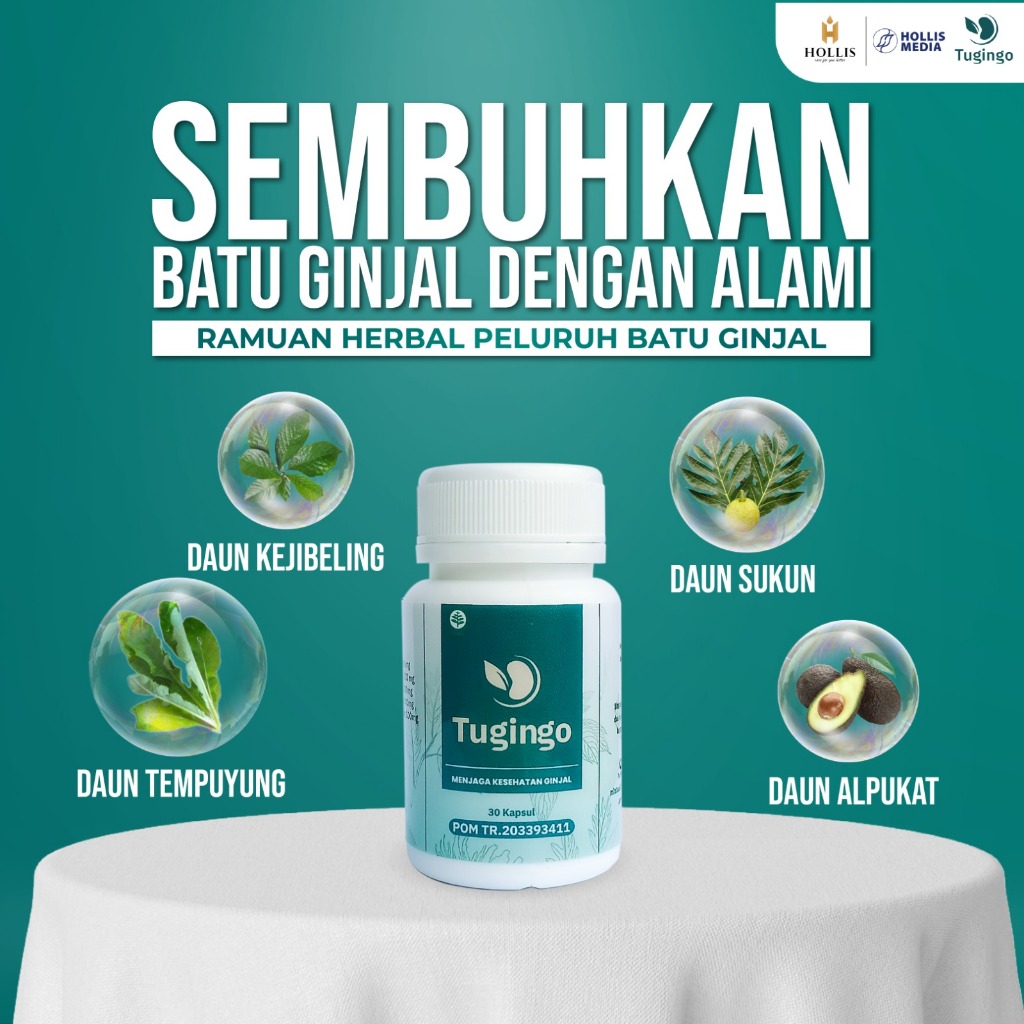 

* Obat Herbal Batu Ginjal Tugingo 30 Kapsul Original Bpom Halal Cina Paling Yang Ampuh Tanpa Operasi Dan Sakit Pinggang Terlaris