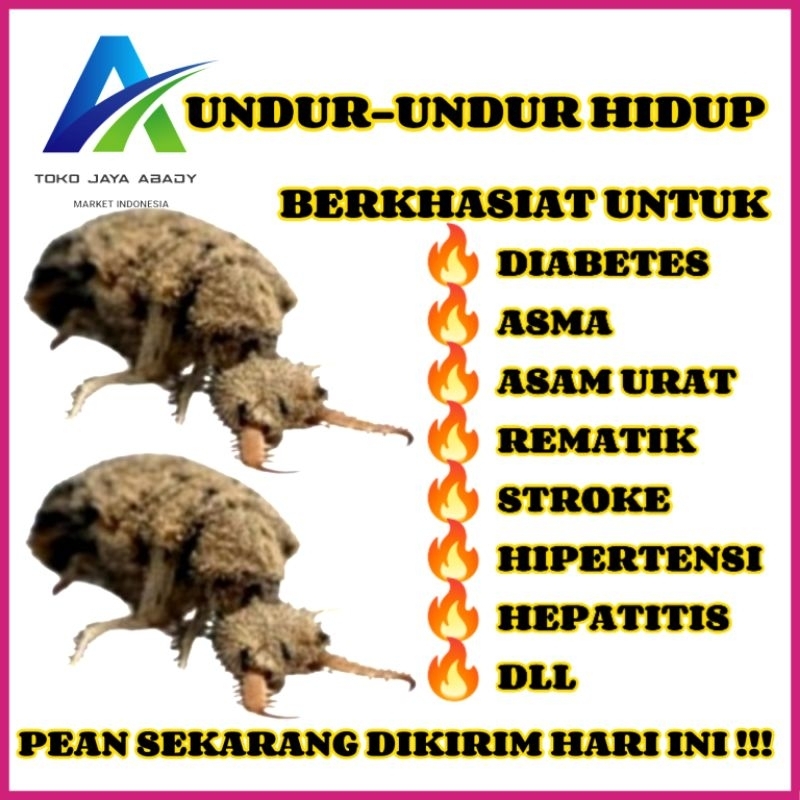 

* 100 Ekor Undur Undur Hidup Obat Untuk Asma Rematik Asam Urat Diabetes Stroke Kolestrol Terlaris