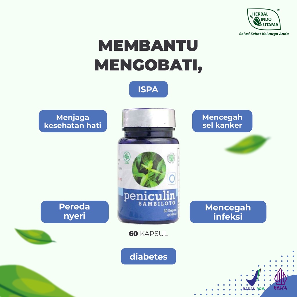 

* Hiu Sambiloto Peniculin Herbal Indo Utama Murah Terlaris