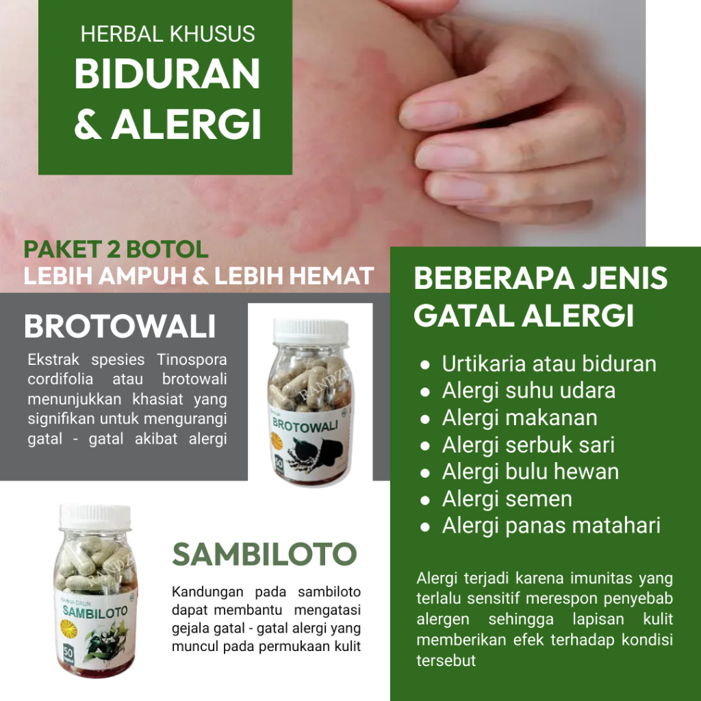 

* Obat Gatal Biduran Alergi Daun Sambiloto Brotowali Herbal Jamu Bersih Darah Kotor Paling Ampuh Terlaris