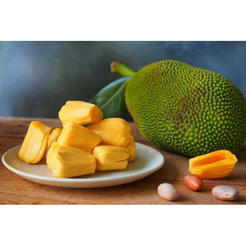 

Nangka matang 500gr