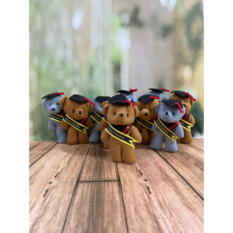 boneka beruang wisuda teddy wisuda boneka wisuda/graduation bear plush/beruang wisuda buket/buket wi