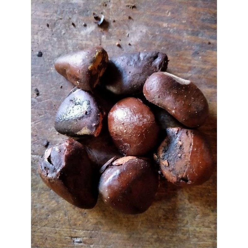 

kluwek/kluwak untuk RAWON kemasan 250gr/500gr/1kg.