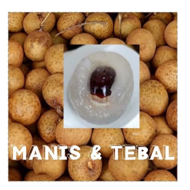 

PROMO Termurah Lengkeng Bangkok Per KG