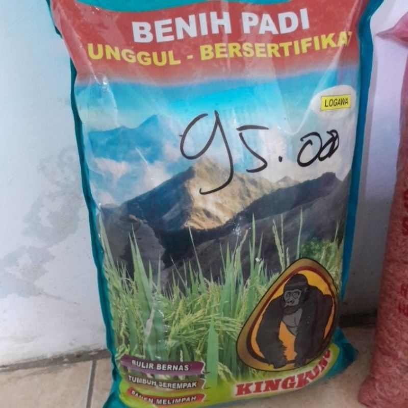 BENIH PADI KINGKONG LOGAWA 5KG