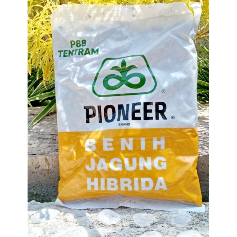 Benih Jagung Hibrida P88 | Pioneer