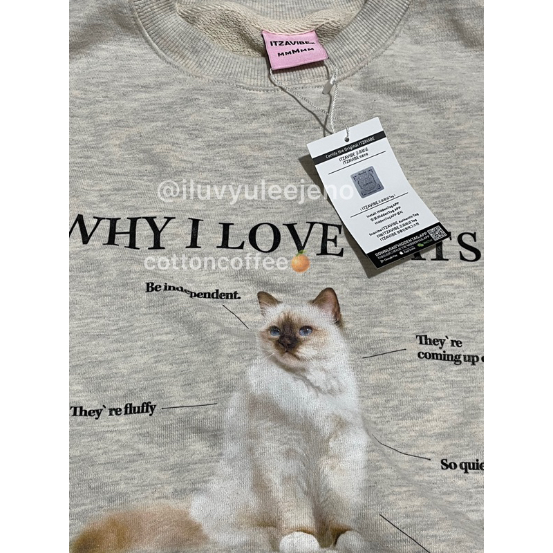 ITZAVIBE - Why I Love Cats Sweater (JENO NCT) READY INA