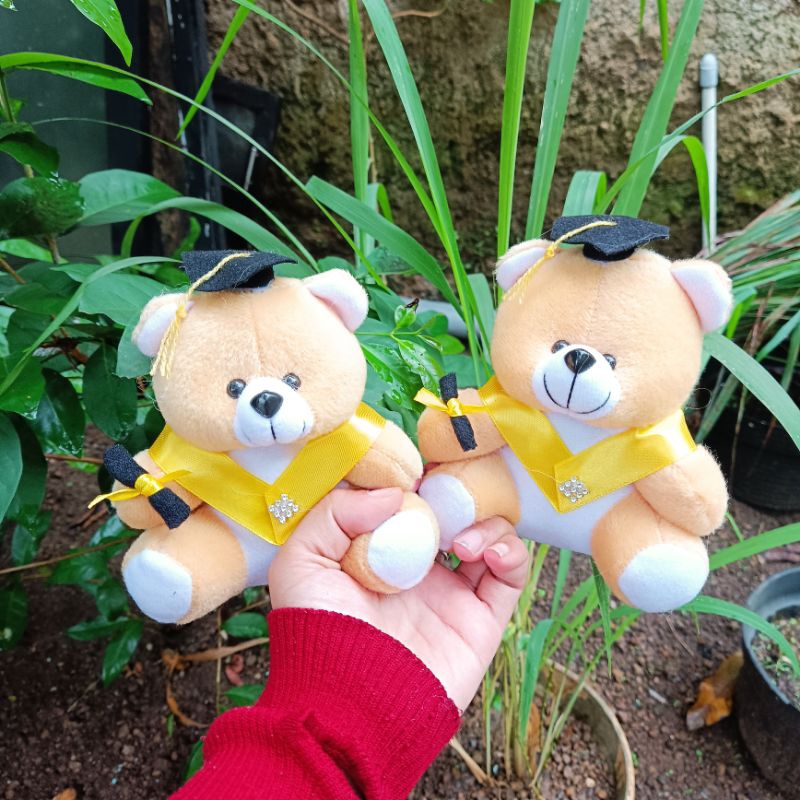 BONEKA BERUANG VELBOA / BONEKA BUKET / BONEKA WISUDA