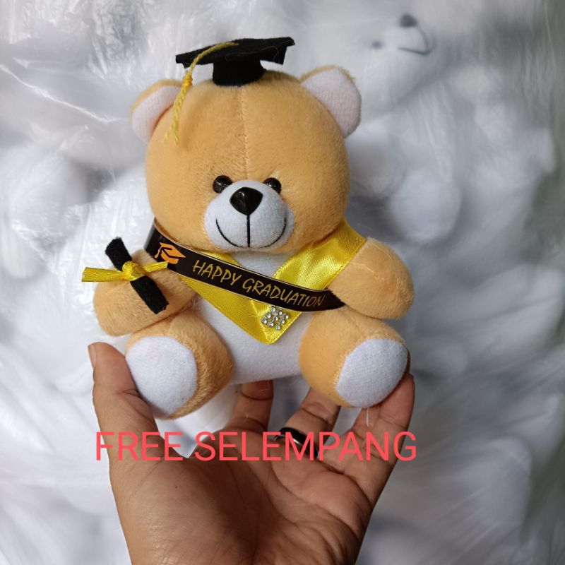 BONEKA BERUANG VELBOA / BONEKA BUKET / BONEKA WISUDA