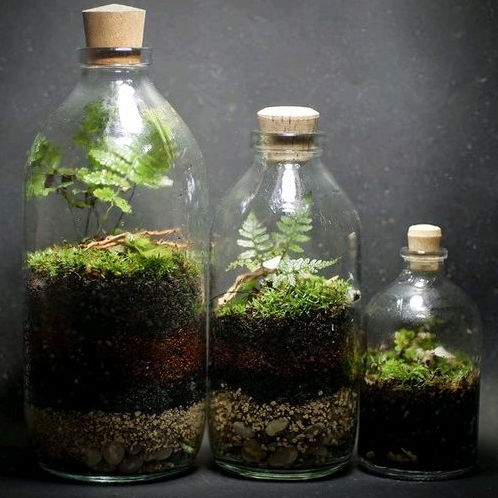 TERARIUM BOTOL KIT | TERRARIUM KIT BOTTLE 100 - 500 ML | HIASAN KAMAR AESTHETIC