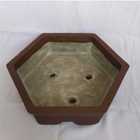 Pot Bonsai Segi Enam D30CM Pot Semen Berkwalitas Pot Tanaman Pot Murah