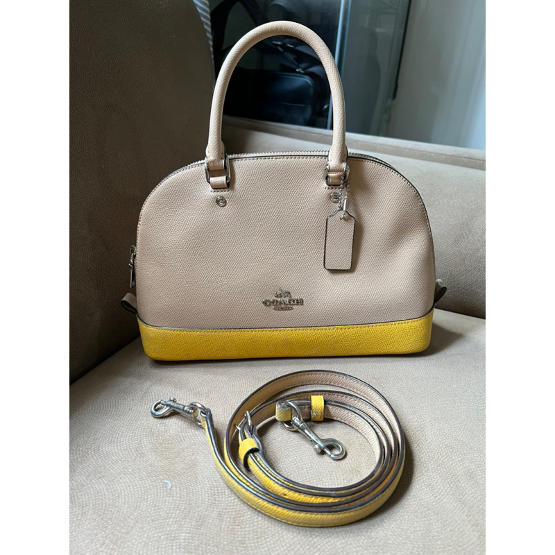 Coach mini sierra