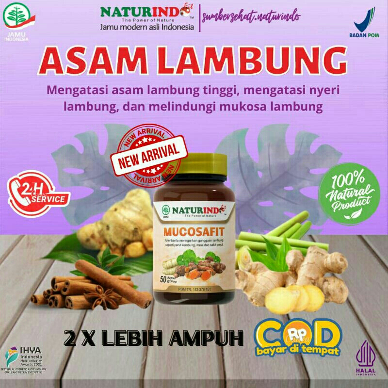 Obat Asam Lambung (MUCOSAFIT)