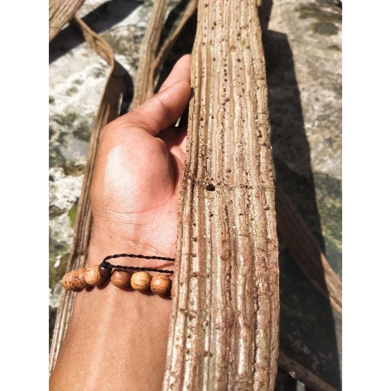 akar cawat hanoman kalimantan