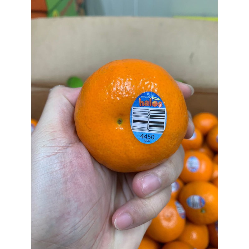 

Jeruk Afourer USA Sedless Manis 9 Kg / box