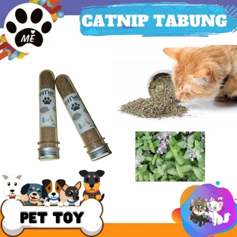 Snack Kucing &quot;CATNIP TABUNG&quot;  Catnip Natural Organik