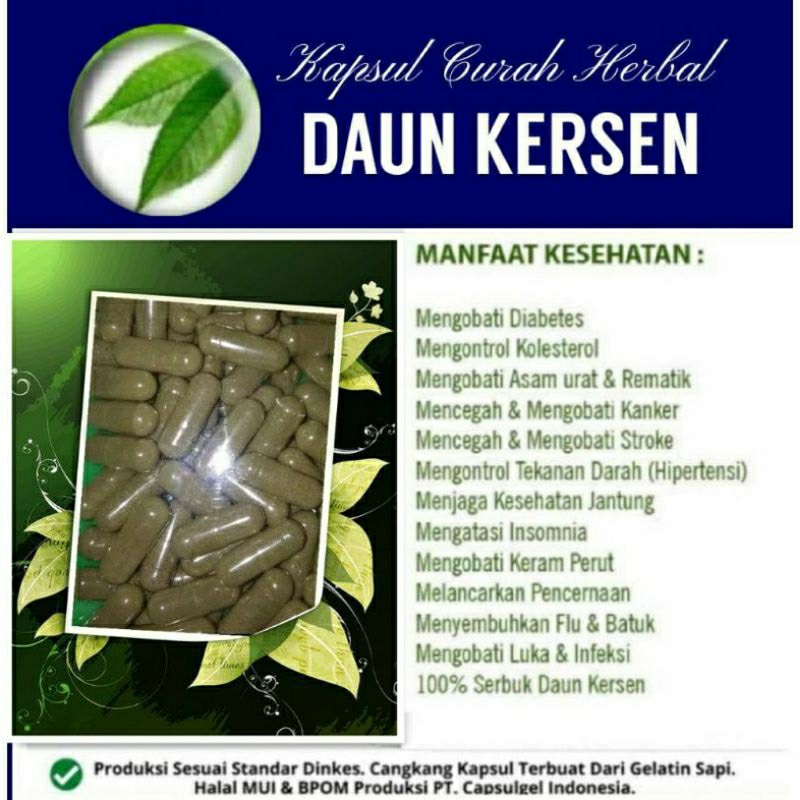 

DAUN KERSEN 100 KAPSUL OBAT HERBAL ALAMI (GRADE A5)