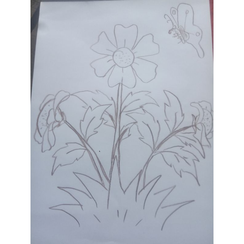 

sketsa gambar mewarnai bunga