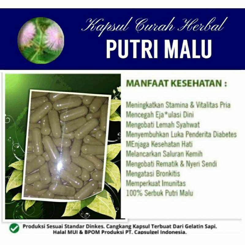 

PUTRI MALU 100 KAPSUL OBAT HERBAL ALAMI (GRADE A5)
