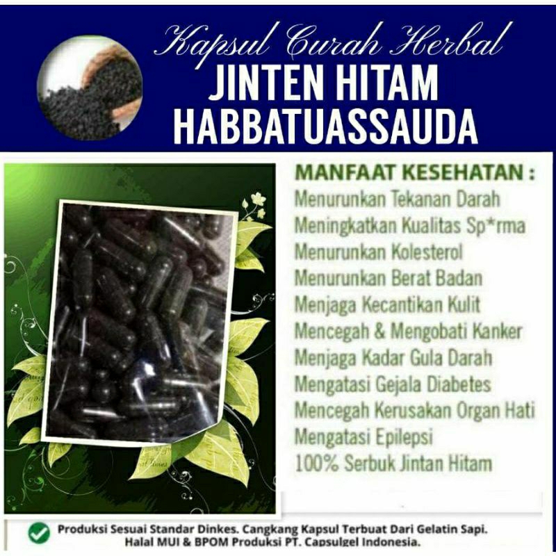 

JINTEN HITAM 100 KAPSUL OBAT HERBAL ALAMI (GRADE A5)