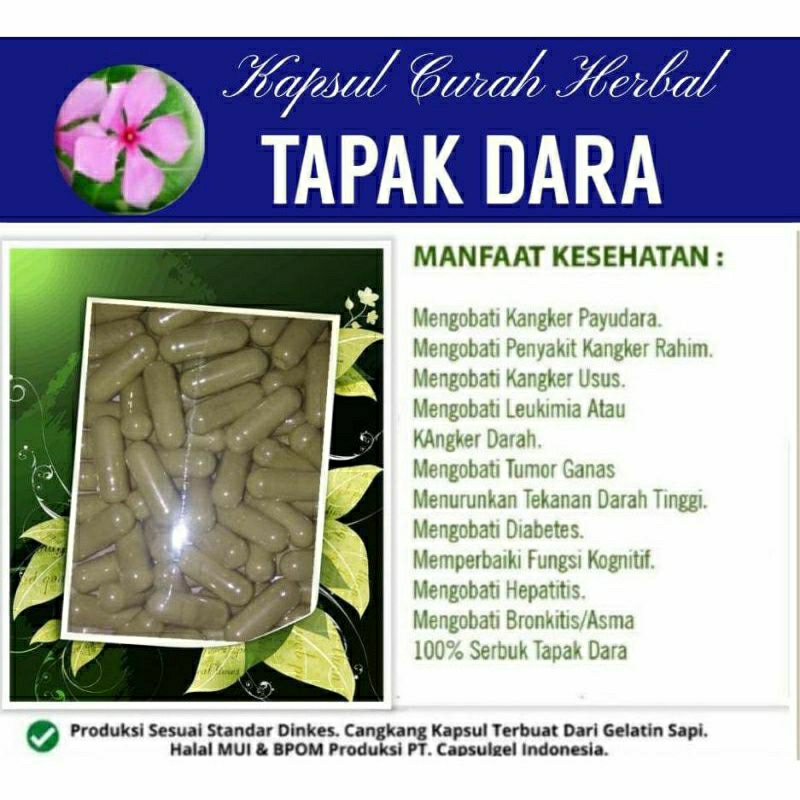 

TAPAK DARA 100 KAPSUL OBAT HERBAL ALAMI (GRADE A5)