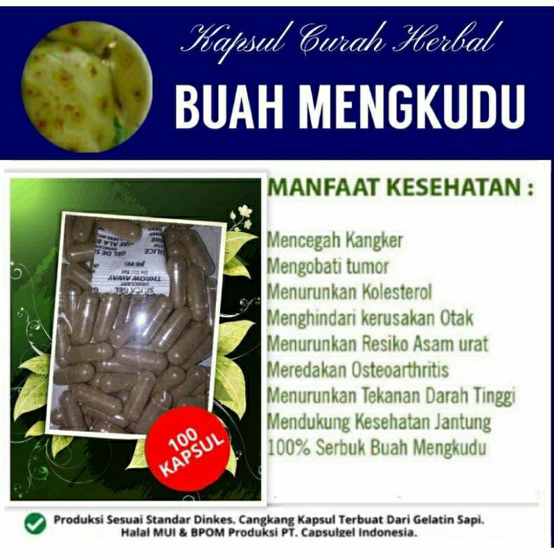 

BUAH MENGKUDU 100 KAPSUL OBAT HERBAL ALAMI (GRADE A5)