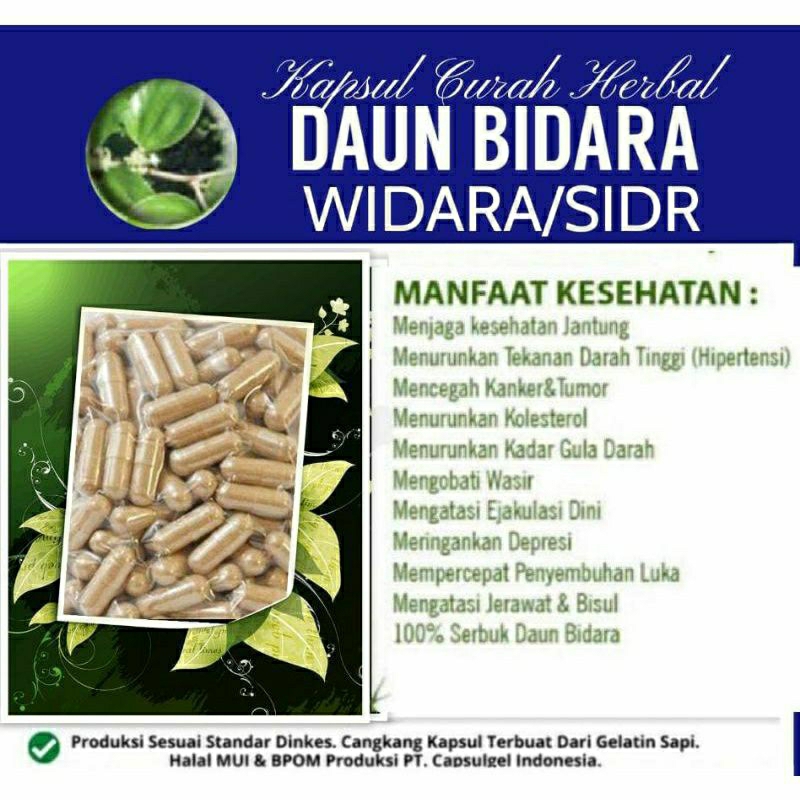 

DAUN BIDARA 100 KAPSUL OBAT HERBAL ALAMI (GRADE A5)