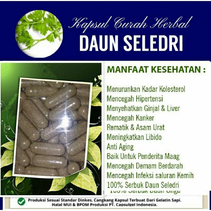 

DAUN SELEDRI 100 KAPSUL OBAT HERBAL ALAMI (GRADE A5)