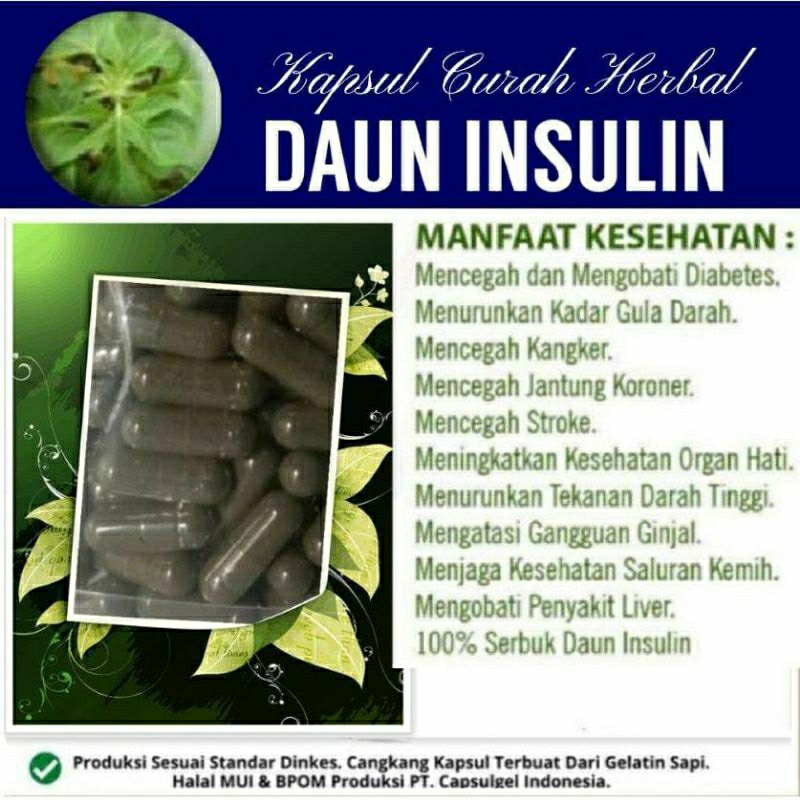 

DAUN INSULIN 100 KAPSUL OBAT HERBAL ALAMI (GRADE A5)
