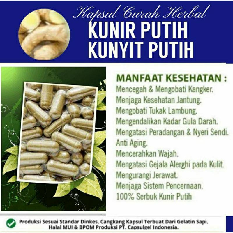 

KUNYIT PUTIH 100 KAPSUL OBAT HERBAL ALAMI (GRADE A5)