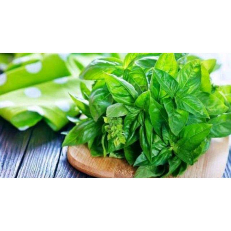 

Kemangi Lalapan Segar