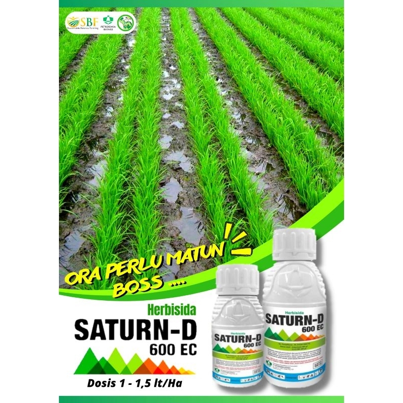 Herbisida Saturn D 600 EC Kemasan 1Liter Saturn Cair Satrun Cair 1Liter