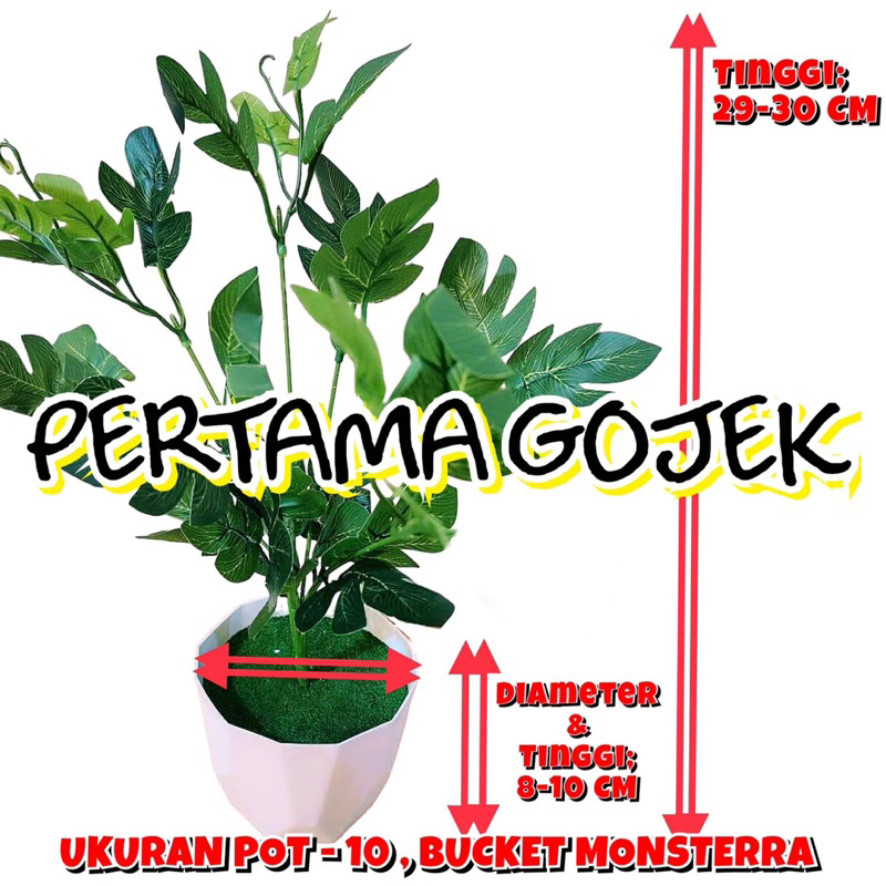 Paket Pot - Bucket Monstera Artificial/ Rumput Artificial/ Daun Rambat Artificial/ Daun Artificial/ 
