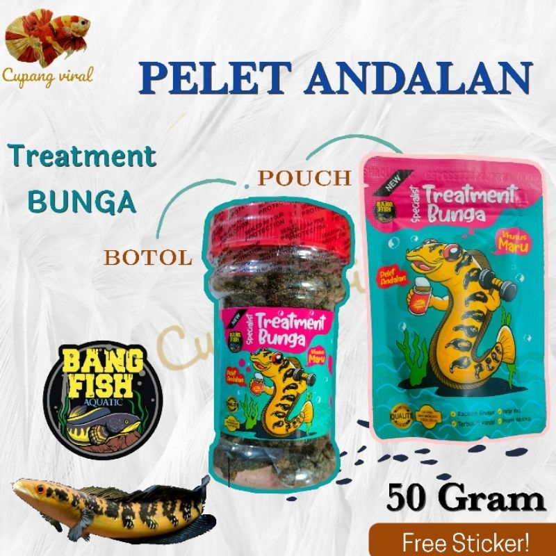 Pelet Andalan BANG FISH AQUATIC Progress Bunga Channa Maru Treatment