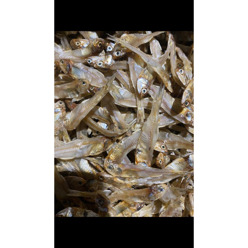 

IKAN ASIN TEMBANG KELAPA