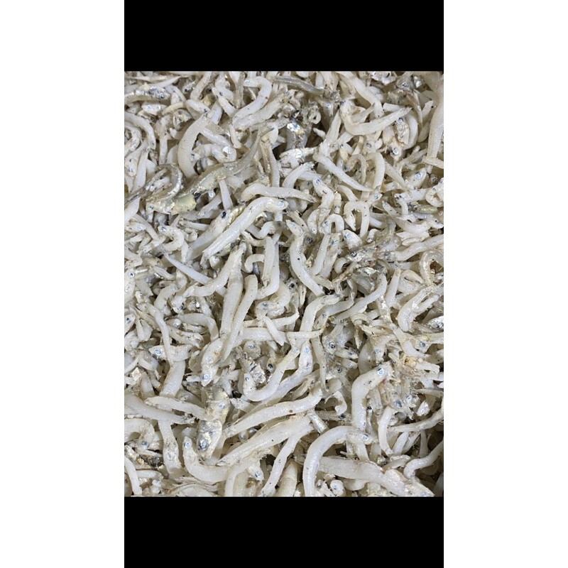 

IKAN ASIN TERI NASI