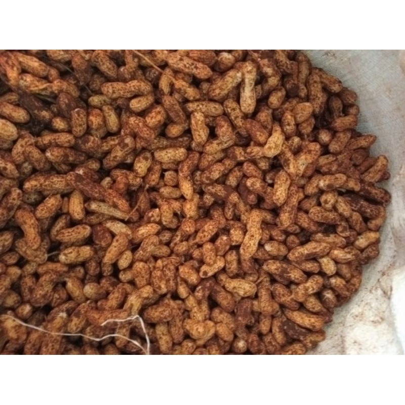 

kacang tanah lokal basah,500g