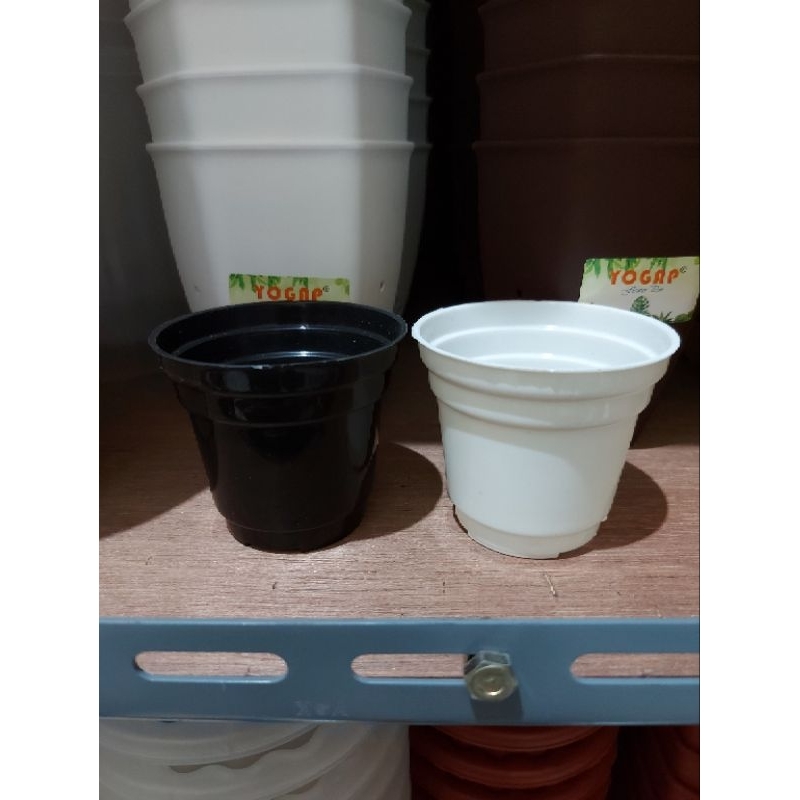 Pot GOL 8 Pot Kaktus Lusinan isi 12 pcs Pot Es Cream Pot Tanpa Lubang Pot Bibit Pot Plastik GROSIR