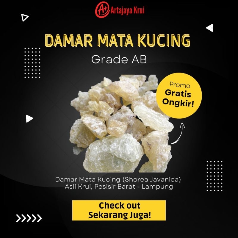 1kg Getah/Myrrh/Resin Damar Mata Kucing Asli Lampung