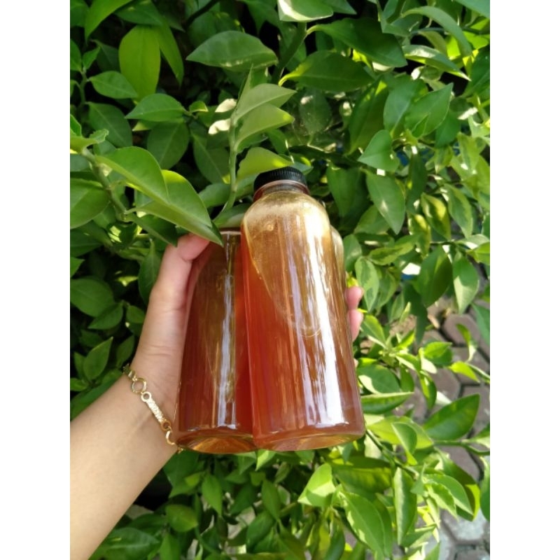 

Madu Hutan Asli NTT