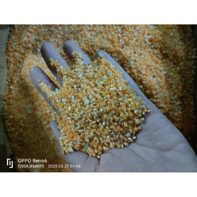 

BERAS JAGUNG || BERAS JAGUNG NASI JAGUNG