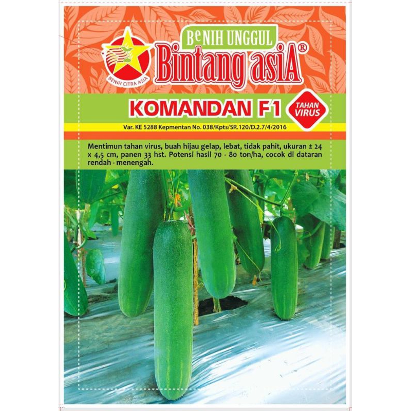 Bibit - Benih Mentimun tahan virus buah hijau gelap tidak pahit Komandan F1 (Bintang Asia)