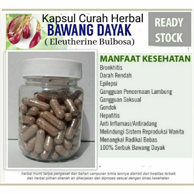 

BAWANG DAYAK 100 KAPSUL OBAT HERBAL TERBAIK (PREMIUM QUALITY)