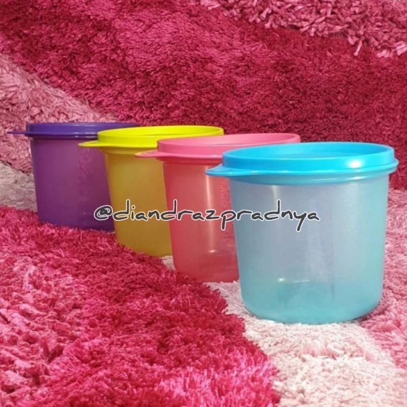 Compact High Bowl Tupperware