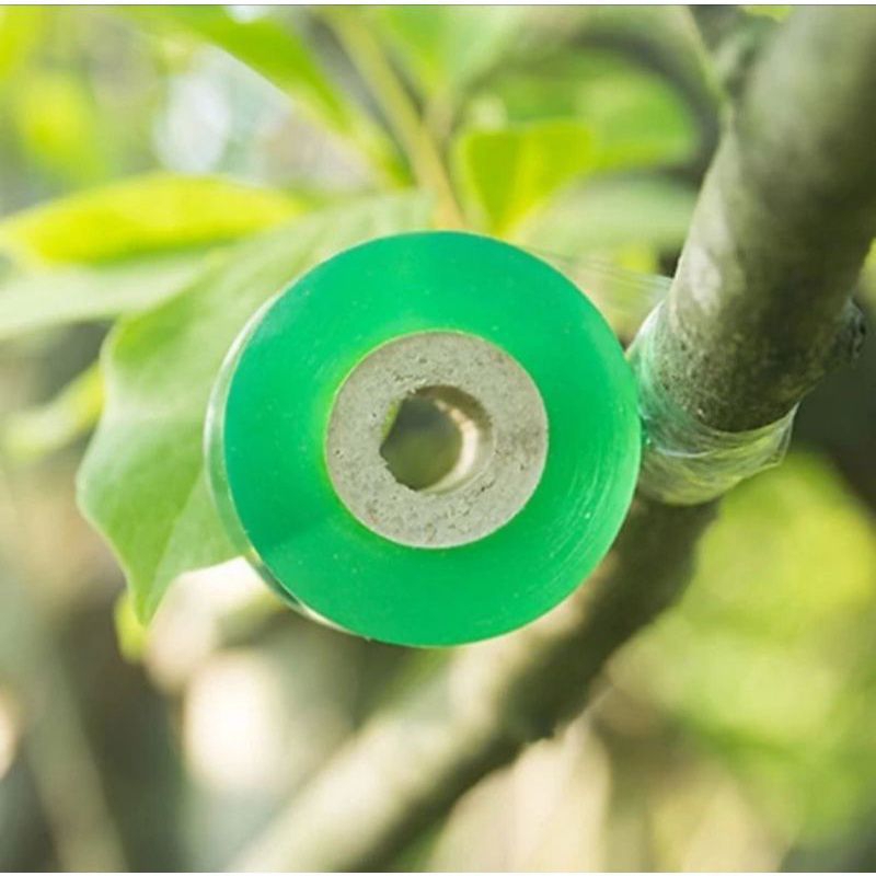 Grafting Tape 5cm x 100 meter Okulasi Cangkok Sambung Pucuk- Grafting Tape