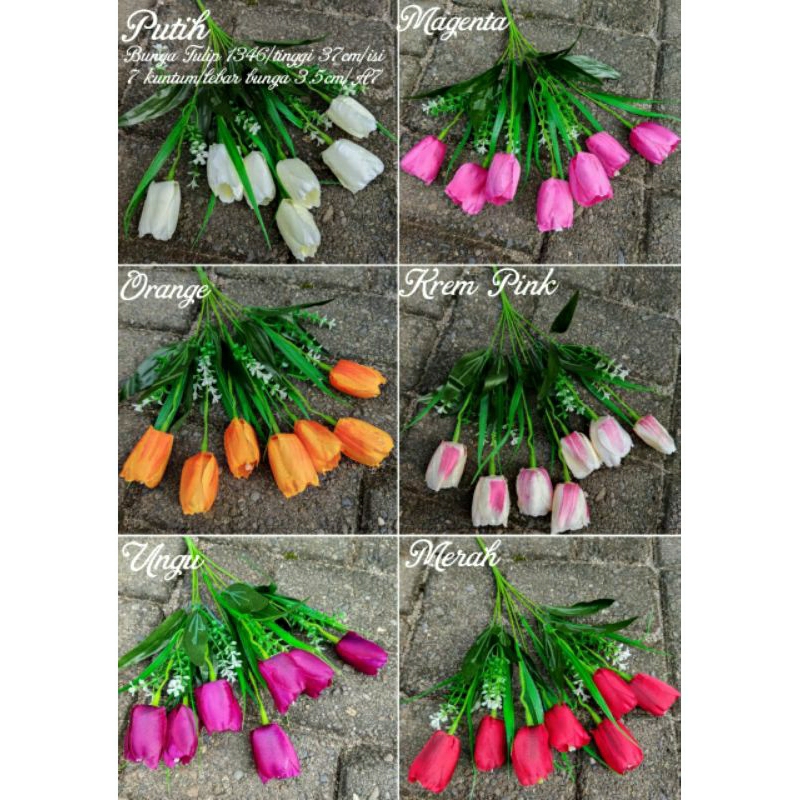 Bunga Tulip Isi 7 Kuntum 1346