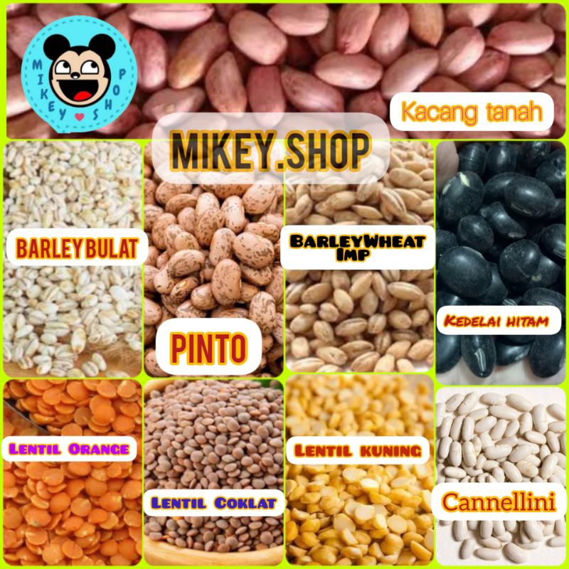 

Kacang2an MPASI Organik (50gr / 100gr) Kacang Merah /Kacang Hijau/ Kacang kedelai / Grain Mix Bean