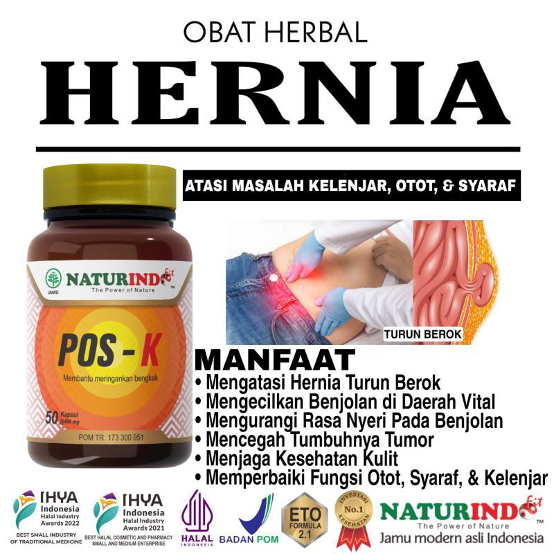 Obat Hernia Turun Berok Benjolan Selangkangan Kelamin Remaja Dewasa Lansia Herbal Ampuh Pos K Naturi